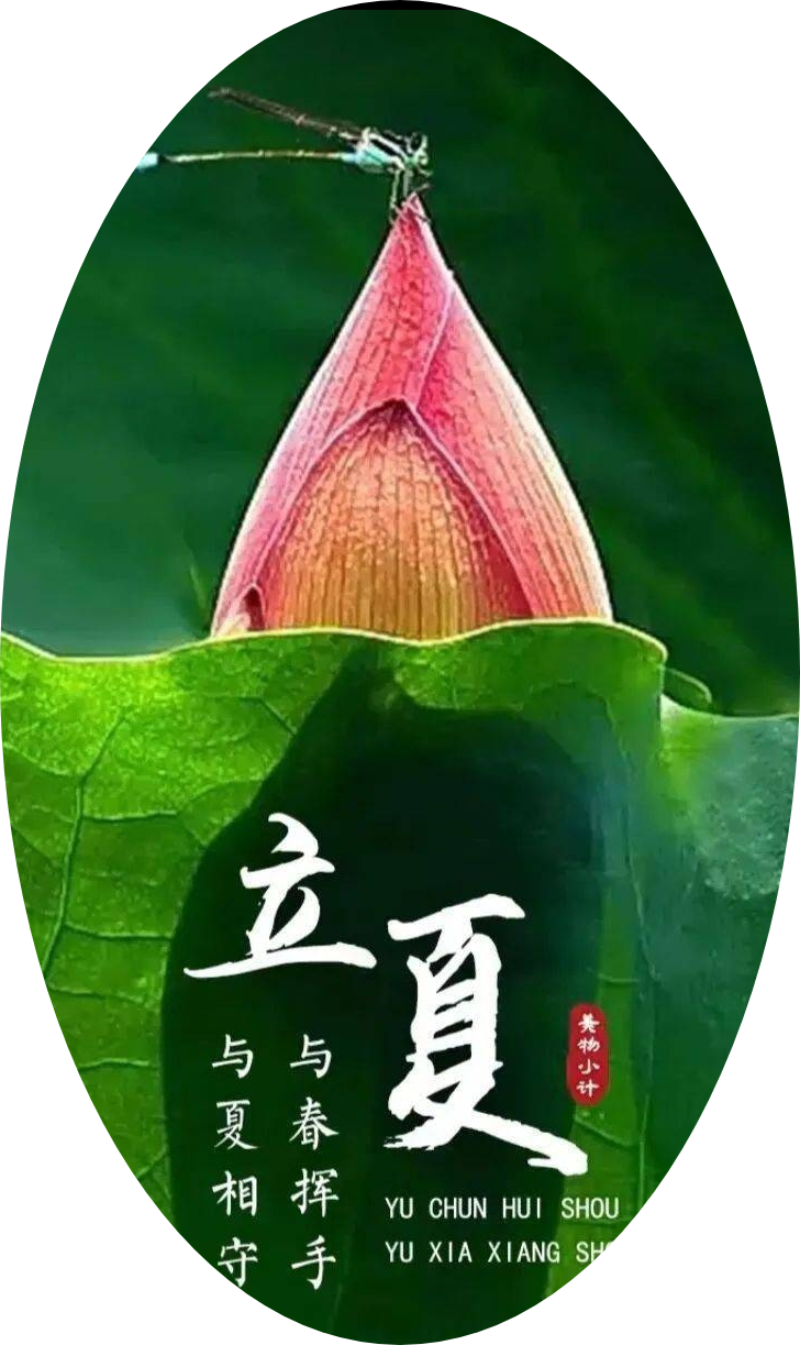 【国风燕赵诗社】杜绪亮老师格律诗词七律《二十四节气》专辑与您共享！（二）（图18）
