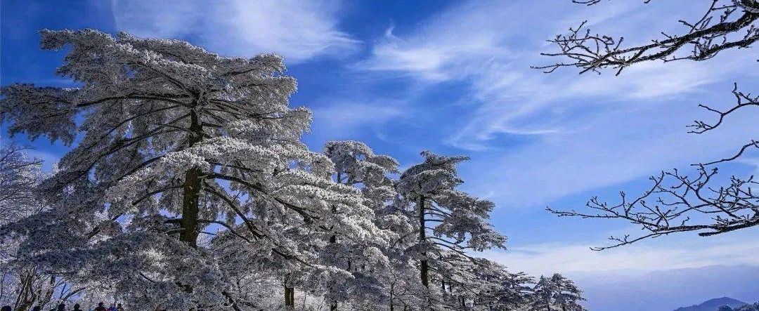 大寒吟怀（组合）诗||于兴庆（图14）