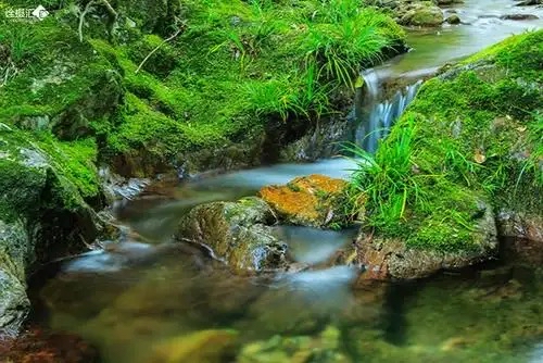 童年：《溪水边》海外头条（图5）