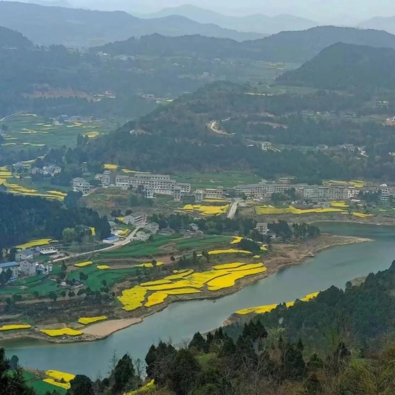 任真：《故乡》海外头条（图5）