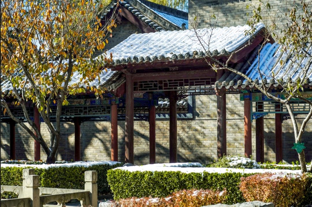 暖冬的悖逆/作者：张建军（图3）