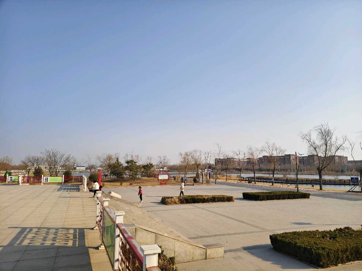【5903】张光山诗作《大寒游湿地》（图12）