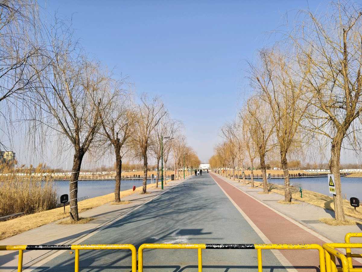 【5903】张光山诗作《大寒游湿地》（图11）