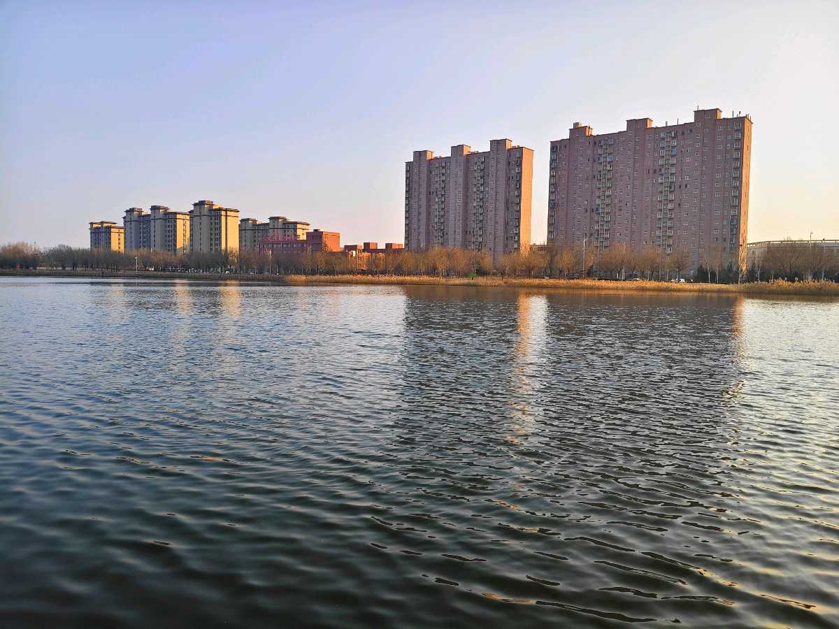 【5903】张光山诗作《大寒游湿地》（图22）