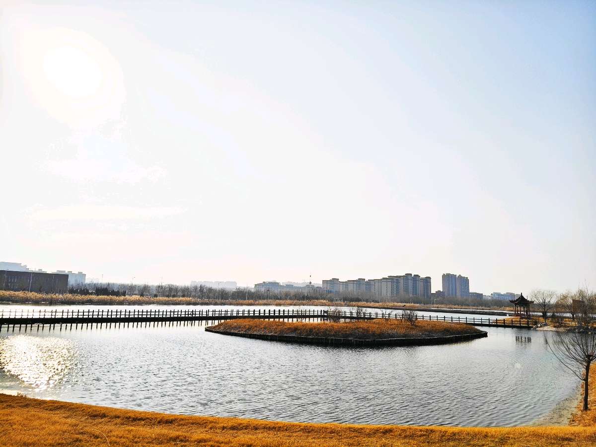 【5903】张光山诗作《大寒游湿地》（图6）