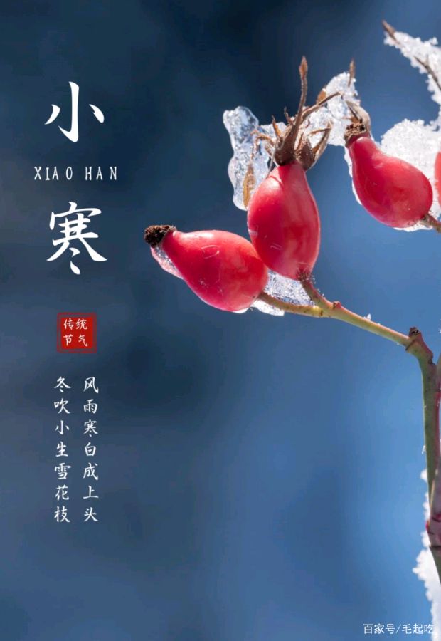 【古韵飘香】第 199 期‖红豆相思寄与君。篆刻灯笼入骨文（图12）