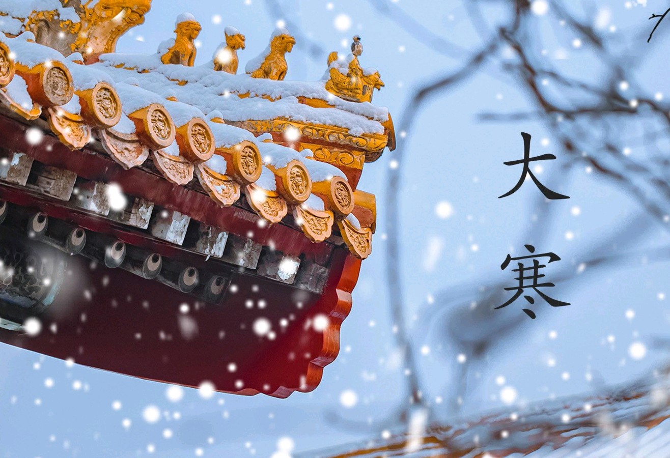 【古韵飘香】第 199 期‖红豆相思寄与君。篆刻灯笼入骨文（图14）