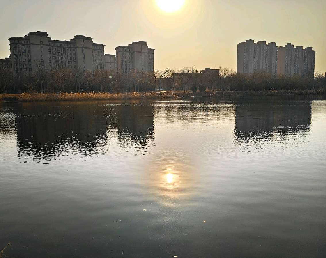 【5911】张荣岐诗作《暖冬》（图2）