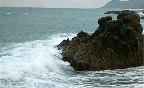 【山海诗社】年关杂感｜文/石梦华（图7）