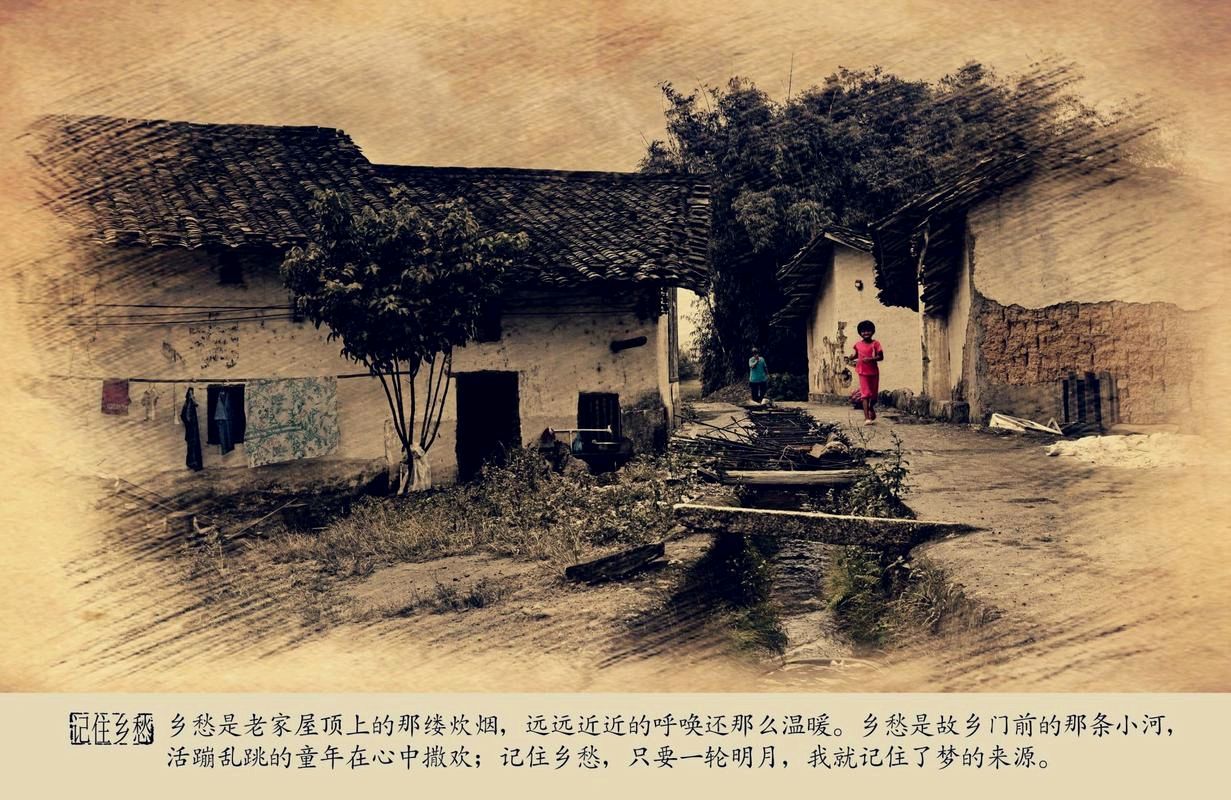 散文版：《家在河间——心中的故乡》作家李华-中华诗经阁散文部副部长