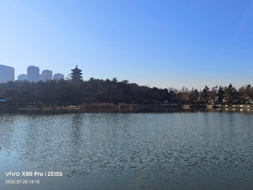 孙述考、王保江文五篇……莲叶之珠文学社(图9)