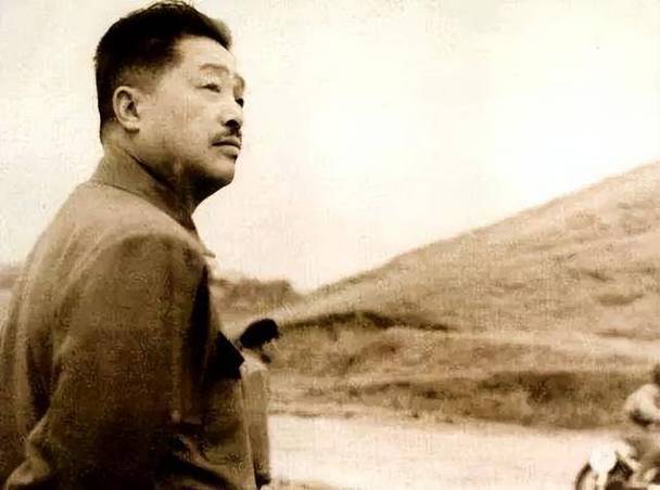 【七绝·樱花外十一首】文/杨府兴 主播/慈爱姥姥（图13）