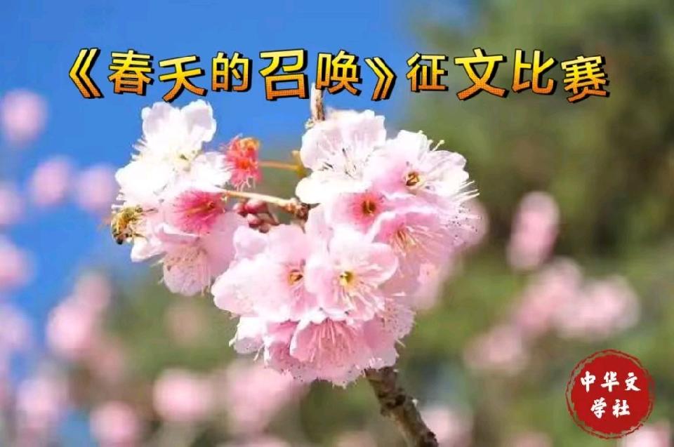 【春天的召唤征文】文/刘淑芹 || 主播/海河儿女 || 主编/锦上添花（图3）