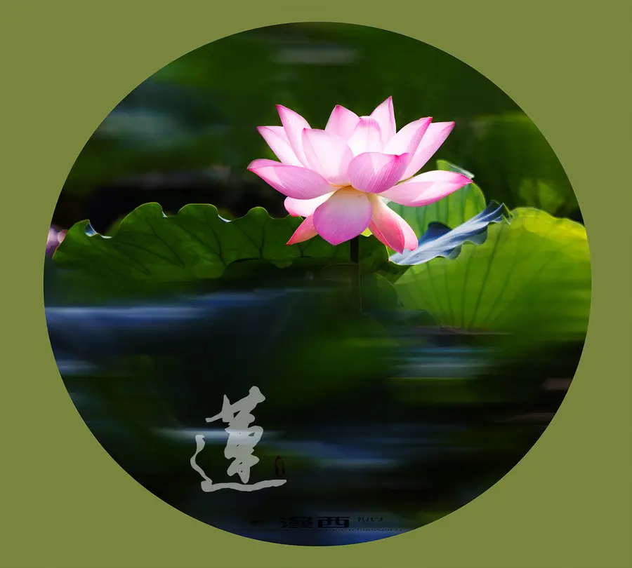 《管泽富现代诗人现代诗词二首》作者:管泽富 [中国现代诗歌文化传媒]（图10）