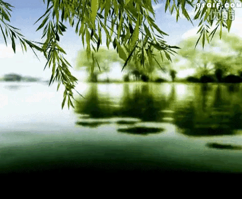《管泽富现代诗人现代诗词二首》作者:管泽富 [中国现代诗歌文化传媒]（图11）