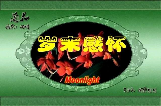 北京头条【红色文化诗歌精选044期】(图15)