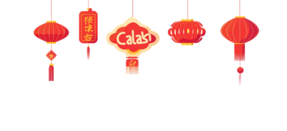 【中国燕京文化集团】《中国当代文学史》入选展播:代晓春(图8)