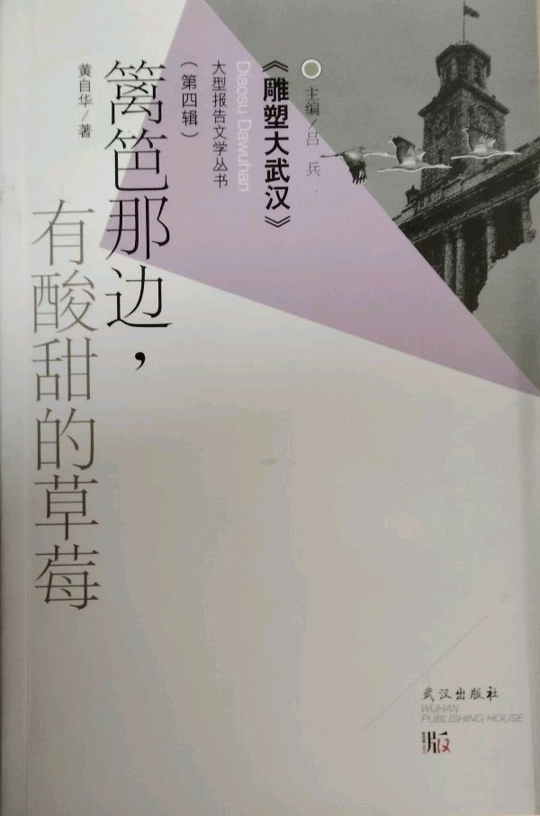 走近大伽黄自华 ◎刘富道 董宏量 徐力（图7）