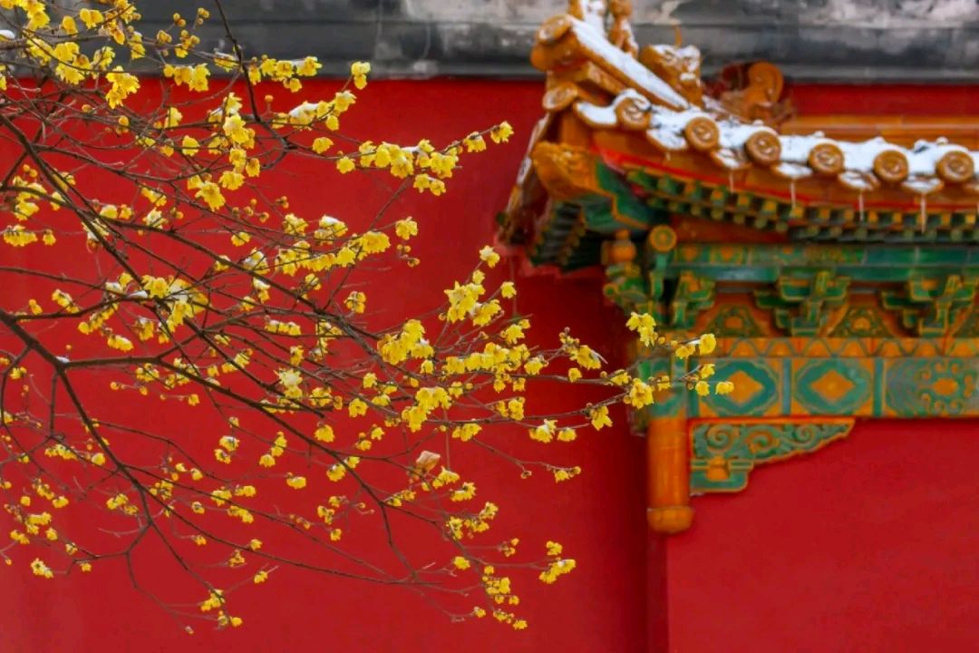 七律梅颂诗情画意(广东)（图3）
