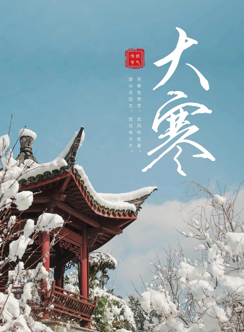 俞青稞：《今日大寒》海外头条（图5）