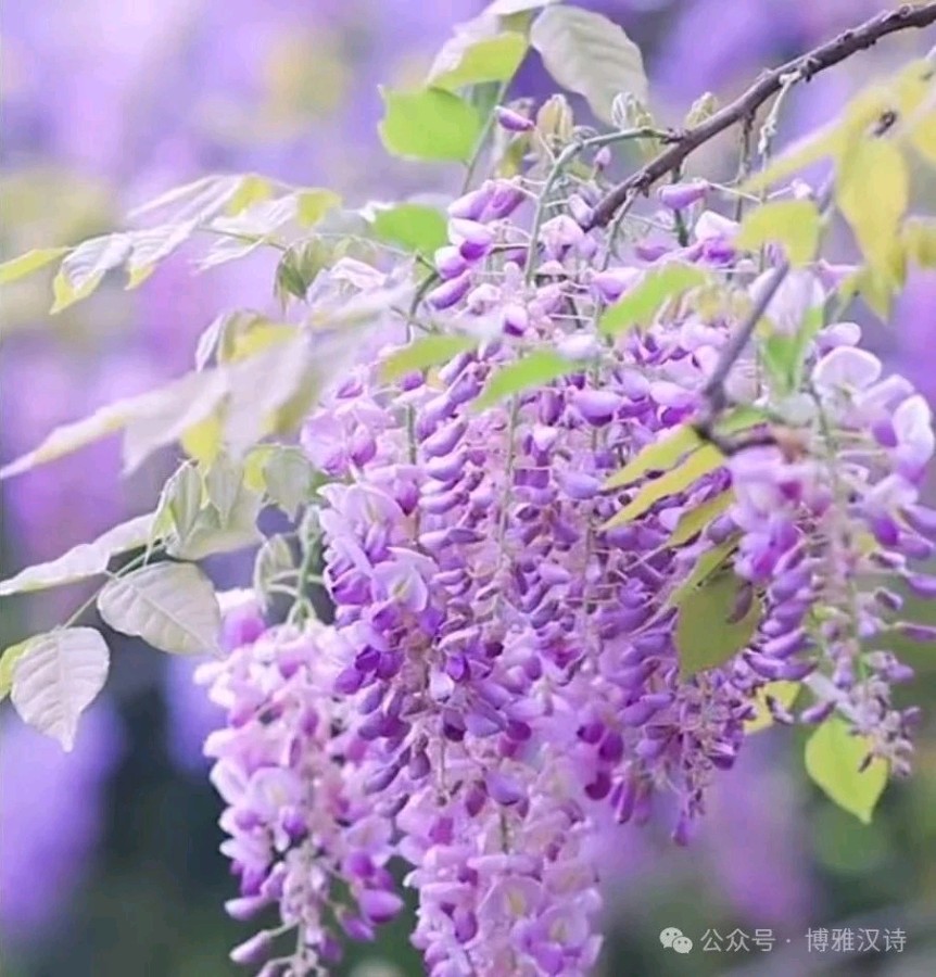 自由体《书写余生风景》文/郑金波（图3）