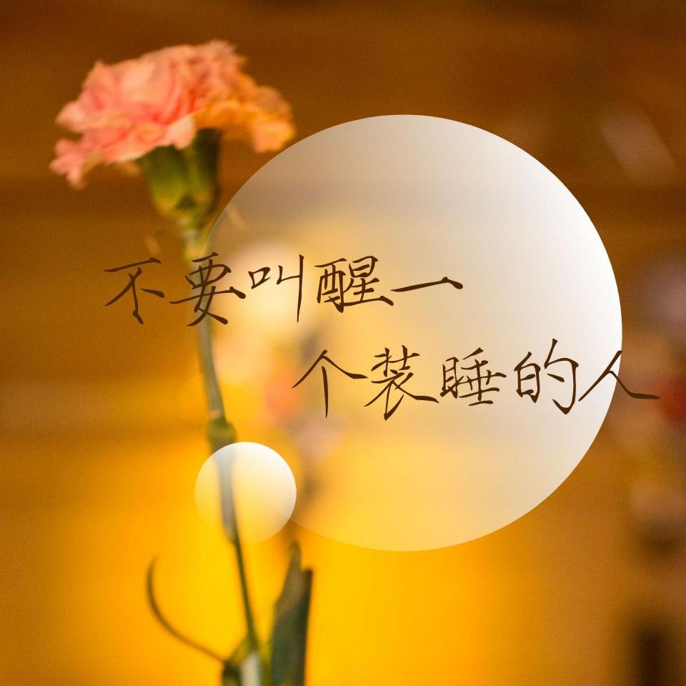 石乐：《睡不着也要装睡》海外头条（图5）