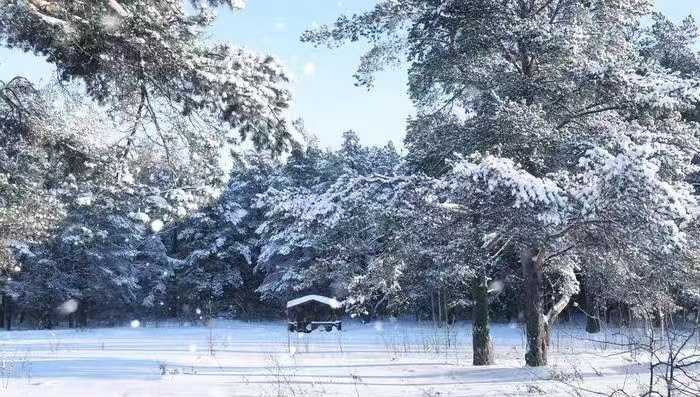【名家诗坛】山抹微云，瑞雪兆丰年（外二首）海外头条（图6）
