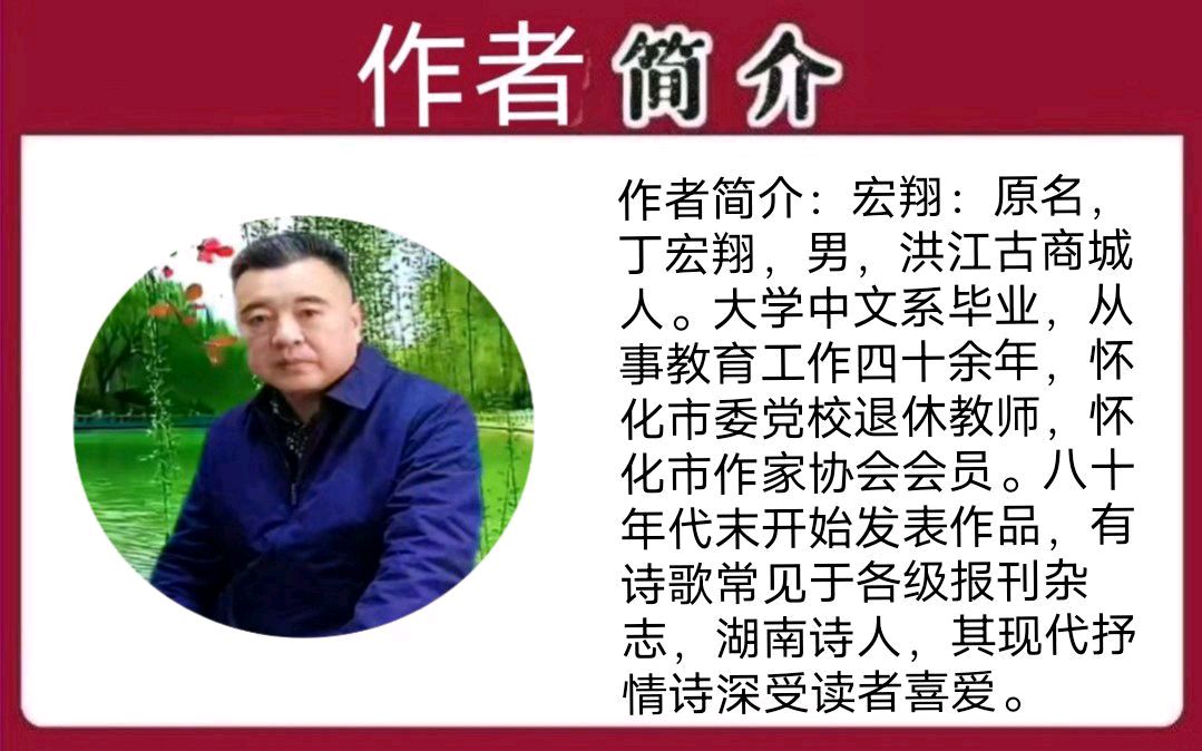 《故乡恋》作者/宏翔 主编/胡琴（图2）