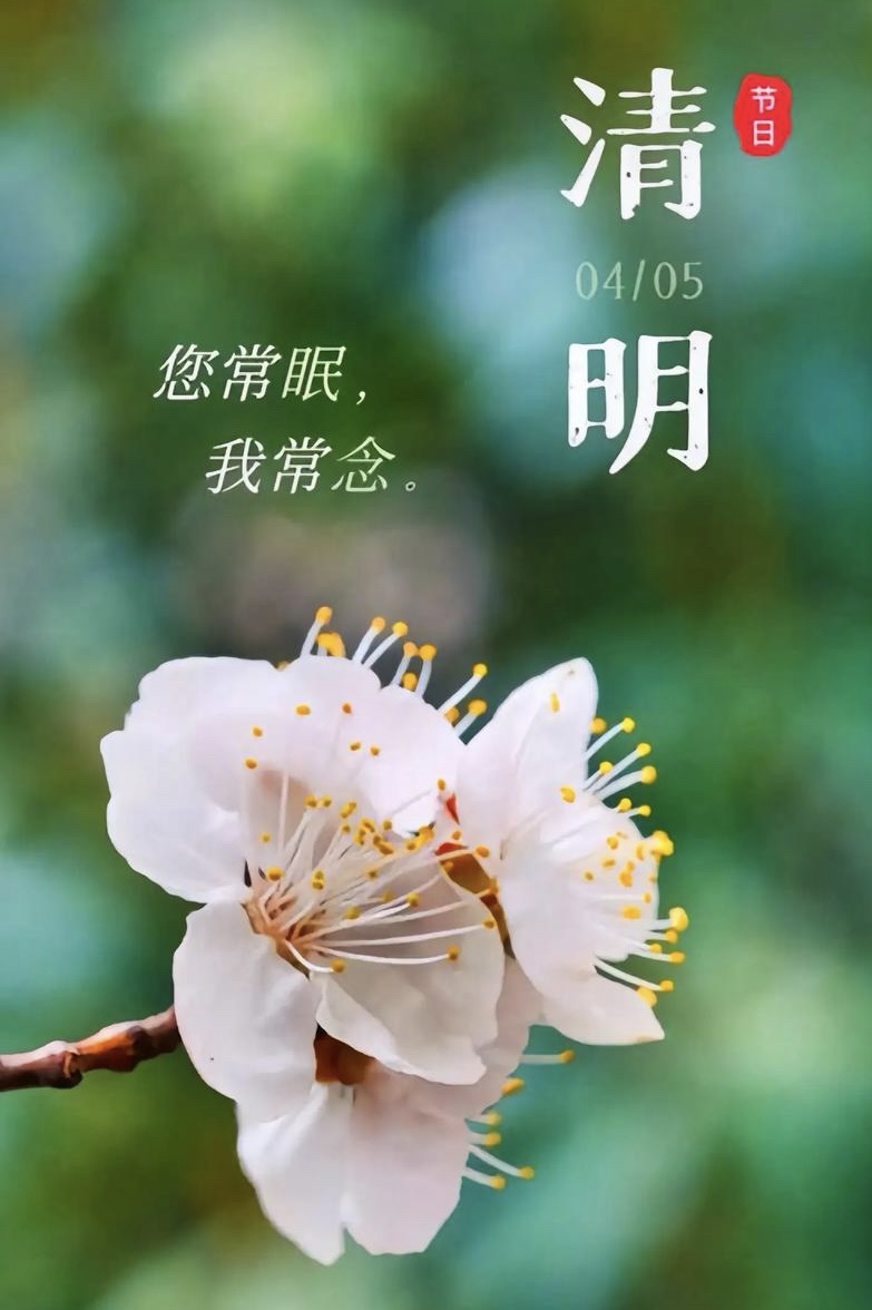 红梅诗歌文化传媒||《七律 甲辰节气二十四首》||作者：隆光诚（图5）
