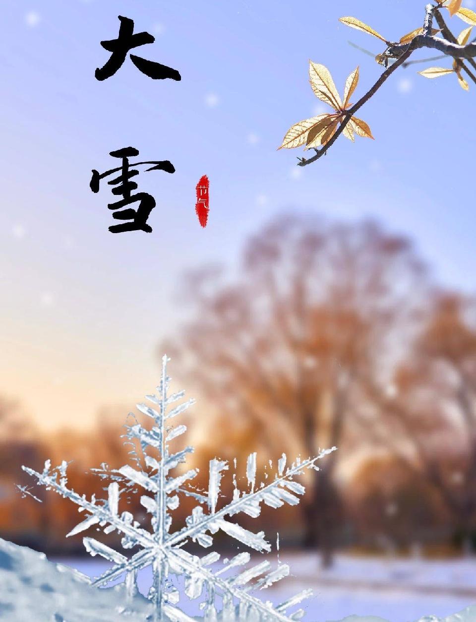 红梅诗歌文化传媒||《七律 甲辰节气二十四首》||作者：隆光诚（图8）