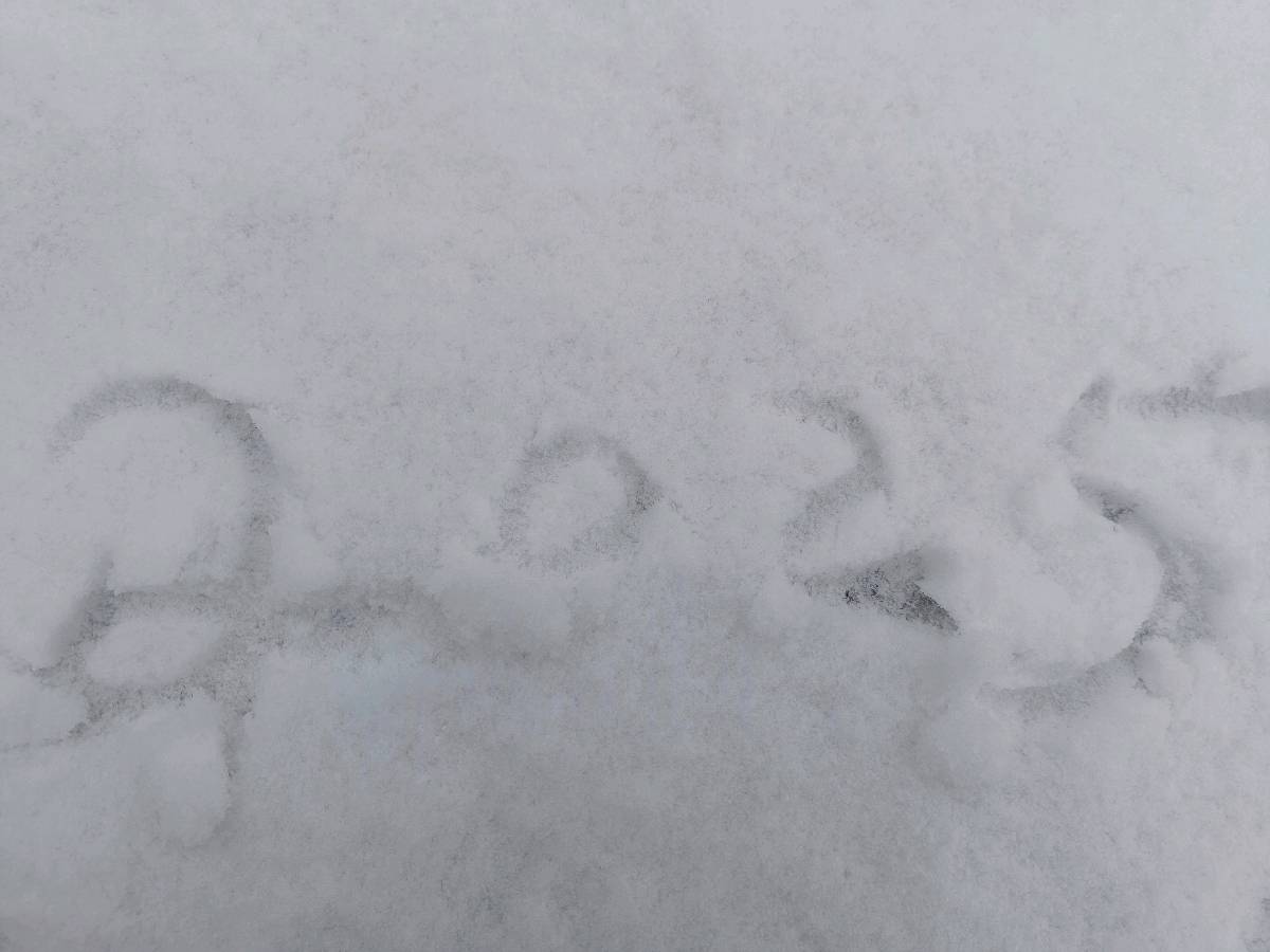 腊月雪 原作/梁立锋（图2）