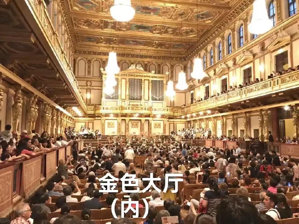 （叙事散文诗）维也纳：作者/丁培恭/海外头条（图10）