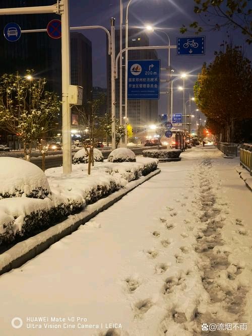 陕西郭丽霞《雪，你听见了吗》（图10）