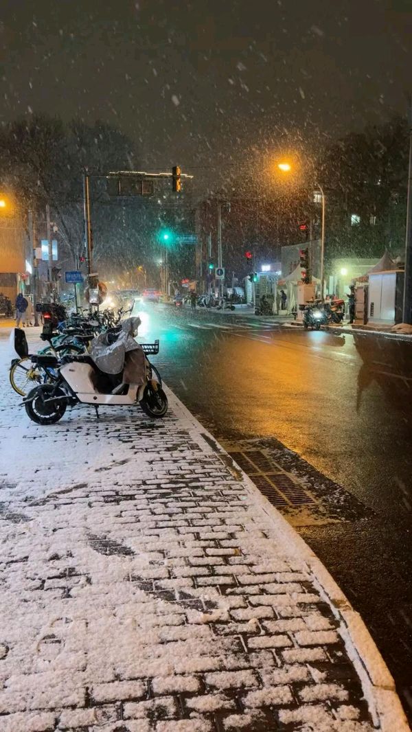 陕西郭丽霞《雪，你听见了吗》（图11）