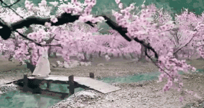 七言诗 . 梅雪迎新年 /建民（图4）