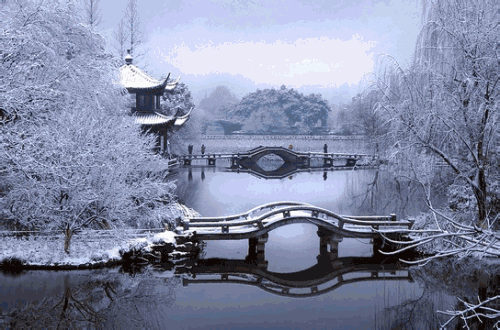 七言诗 . 梅雪迎新年 /建民（图3）