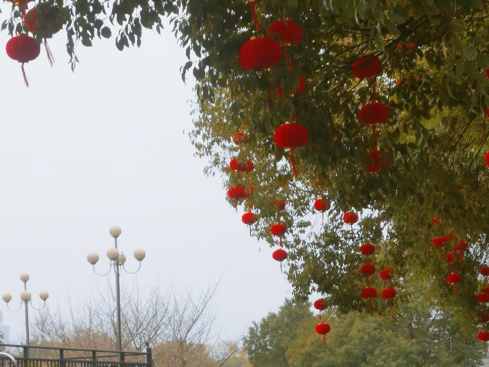 迎岁雨（文/许碧霞）……莲叶之珠文学社（图4）