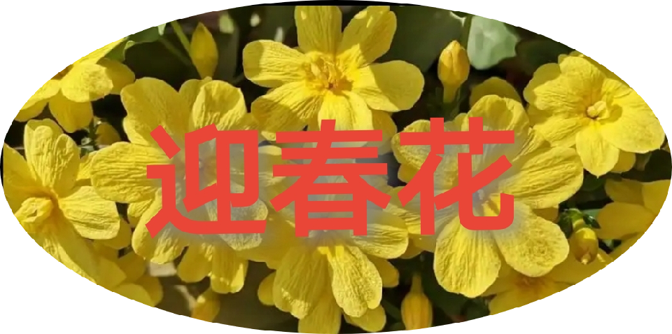 【国风燕赵诗社】徐鹏宇冬韵迎春精品诗词专辑与您共享！（图12）