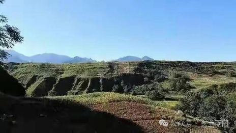 《白鹿塬赋》 作者 韓鹏飞