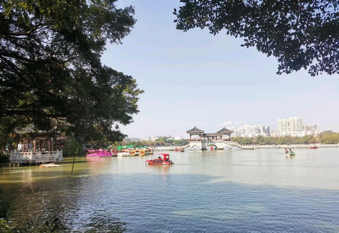 再拍春节前广东惠州西湖/摄影：王夫（图12）
