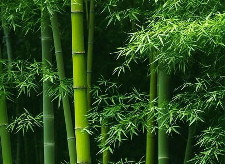 《诗词二首》:七律•蛇年咏蛇、鹧鸪天·岁寒三友(图6)