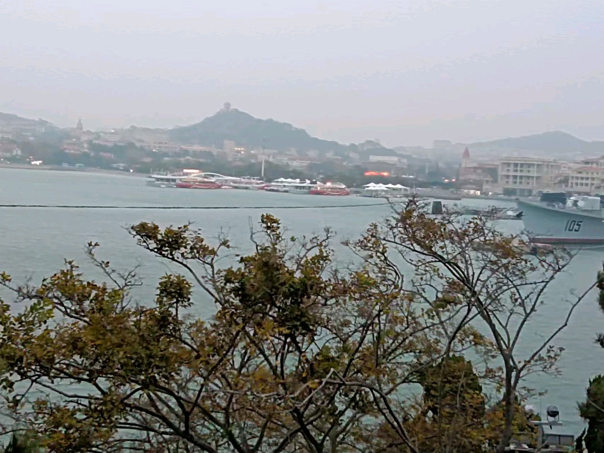 【荣耀中国】七律-蛇年迎新杂感文/流星雨（图4）