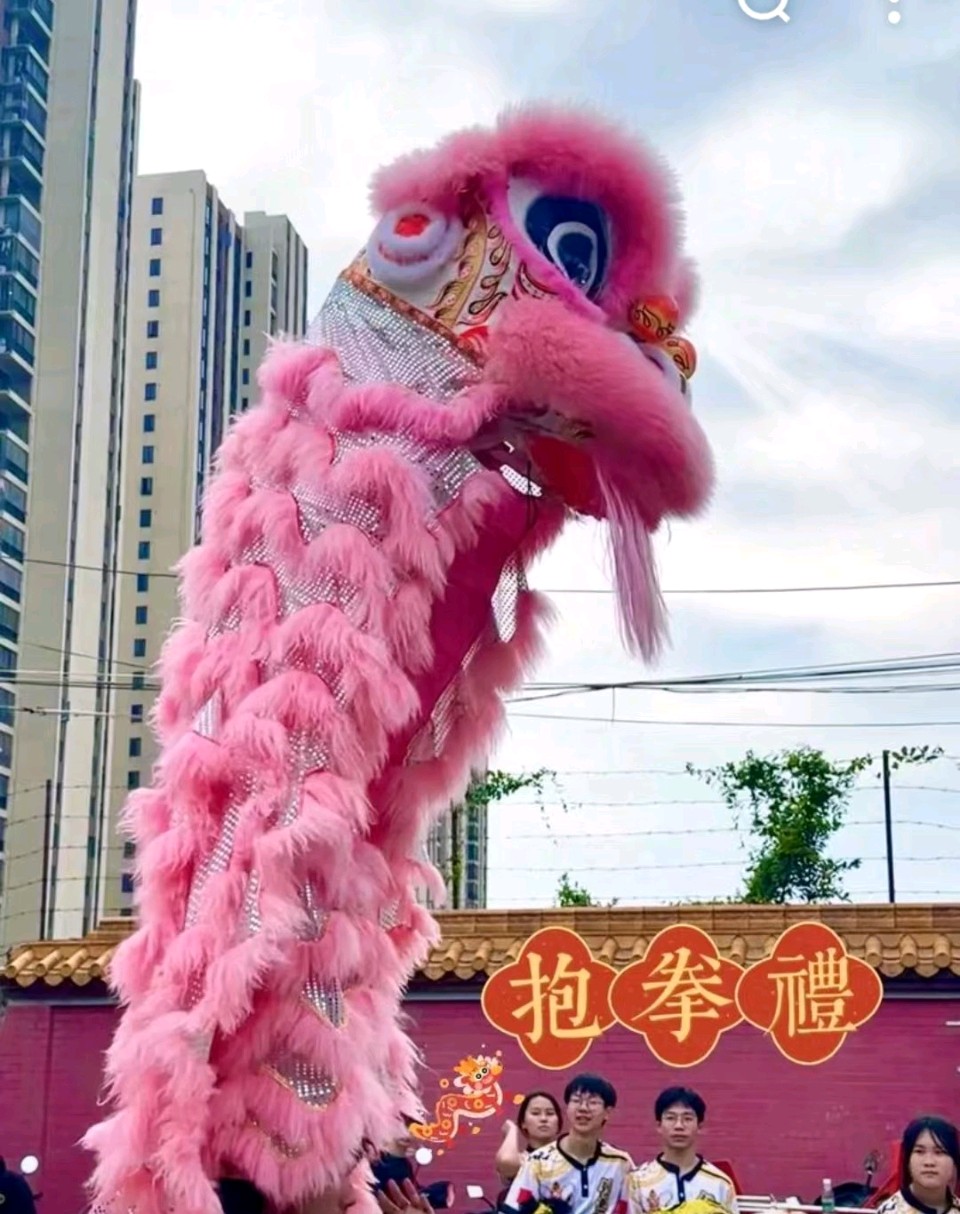 三元七绝~英歌赞诗（附诗三首）文/詹成（图7）