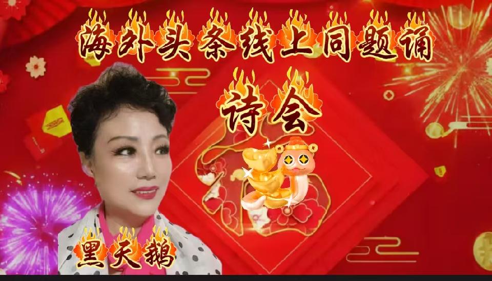 ㊗️海外头条主播团诗歌朗诵会《同题诵》圆满成功！（图11）