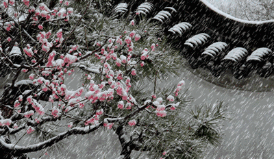 咏雪文/青山新雨————（图6）