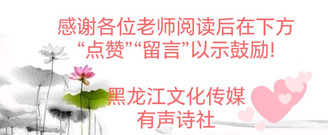 【黑龙江文化传媒 有声诗社】力推上刊诗人：李桂兰老师作品《向人民子弟兵致敬》主播：发图麦·武 倾情诵读（第319期）（图15）