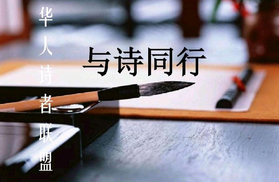 《临屏写诗·握不住的沙》2025年1月临屏诗‖作者:华人诗者联盟诗友【华人诗者联盟文化传媒】（图4）