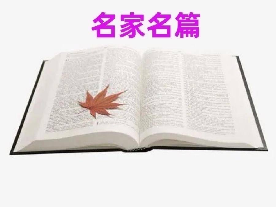纽约文联网刊：三十一期（总期五十三期）2025年1月｜海外头条（图49）