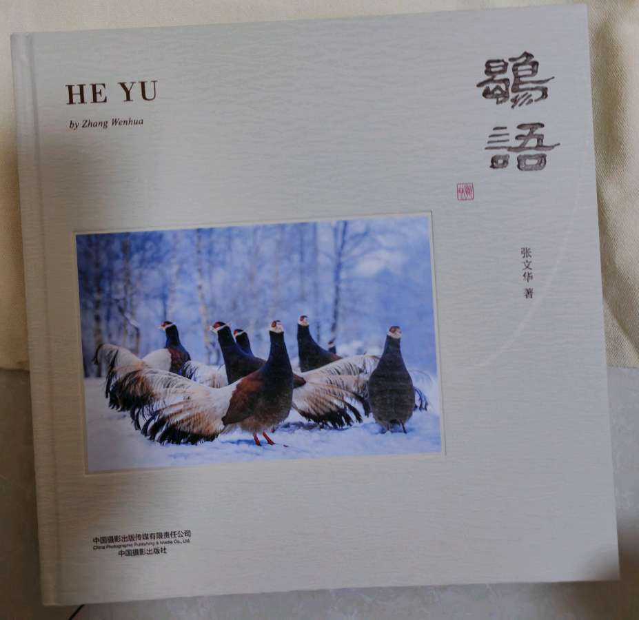 李靖水：蛇年鹖语