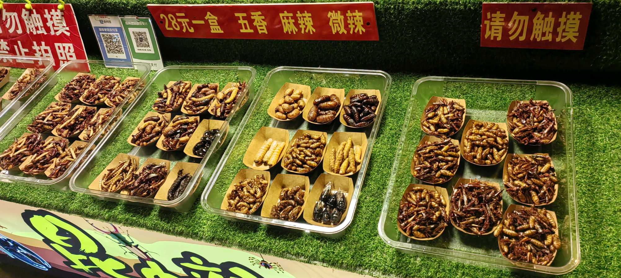 再游西双版纳星光夜市（图4）